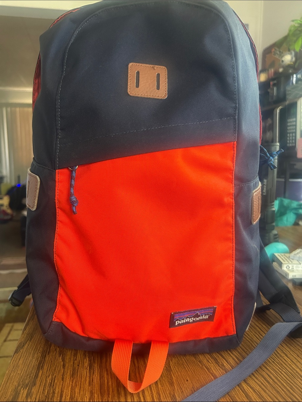 Patagonia backpack